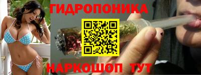 тгк Краснодар