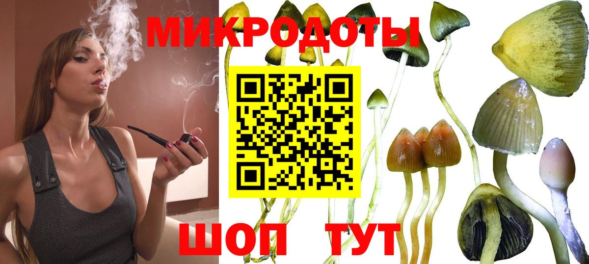 Галлюциногенные грибы мицелий  Псилоцибиновые грибы Cubensis  Вход с VPN  Кимры 