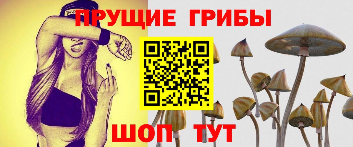 Псилоцибиновые грибы Magic Shrooms Кимры